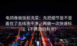 电鸽像做饭前洗菜：先把细节是不是盖住了主线洗干净，再做一次快速标注（不费劲但有用）